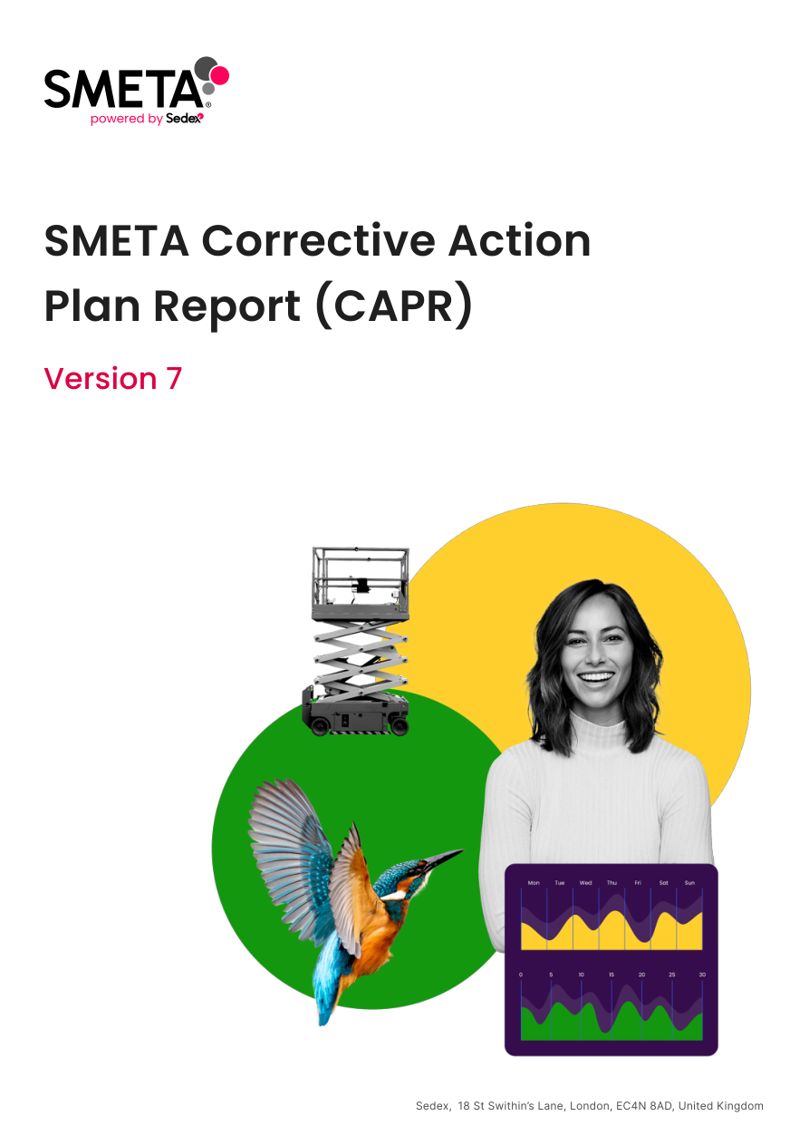 CAPR corrective action plan report for SMETA 4-Pillar audit ZAA600219062